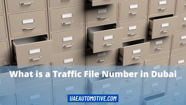 Traffic File Number