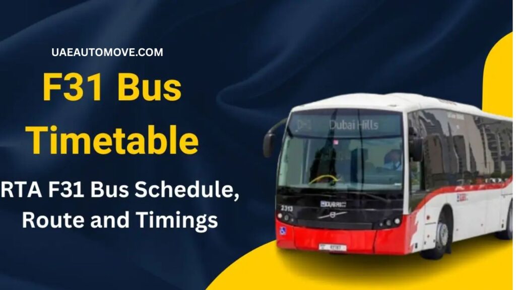 F31 Bus Timetable