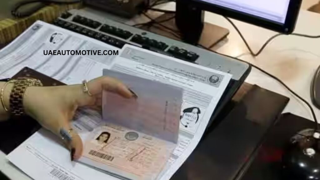 Difference Between Permits of Work and Residence Visas