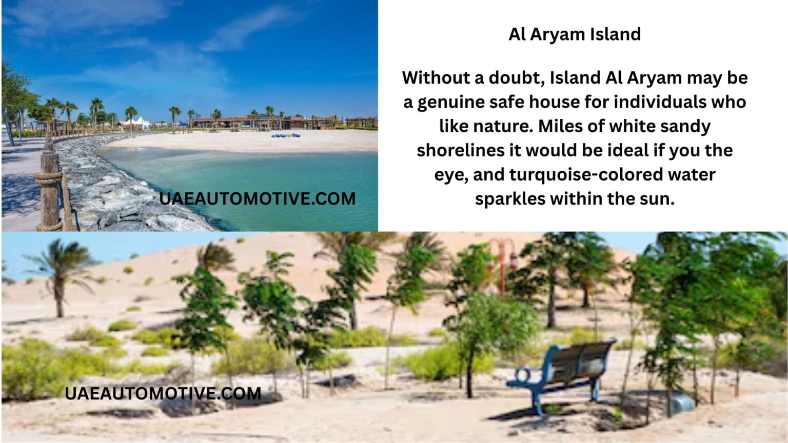 Al Aryam Island: A Hidden Gem in the Arabian Gulf