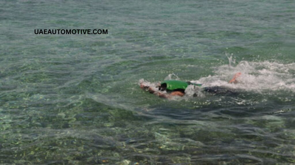 Al Aryam Island: A Hidden Gem in the Arabian Gulf