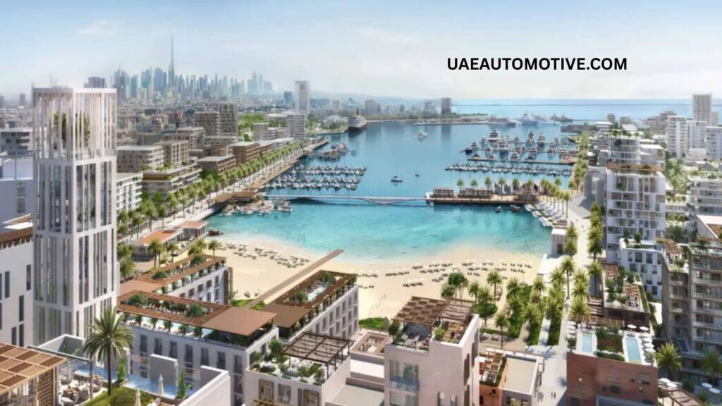 Mina Rashid Screening Centre: All About Health and Safety Services