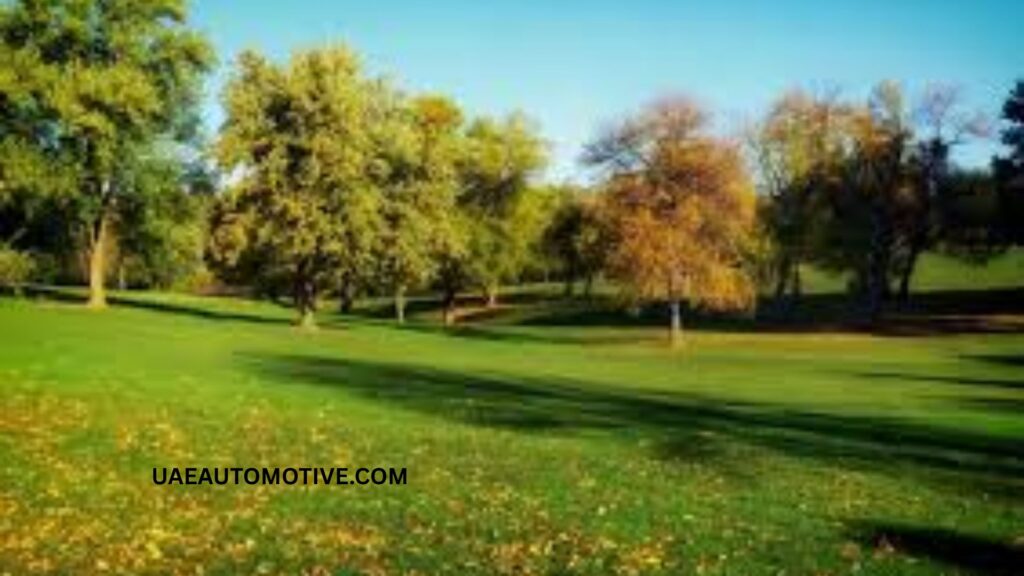 Unveiling Baniyas East: The Hidden Gem at Dubai's Heart