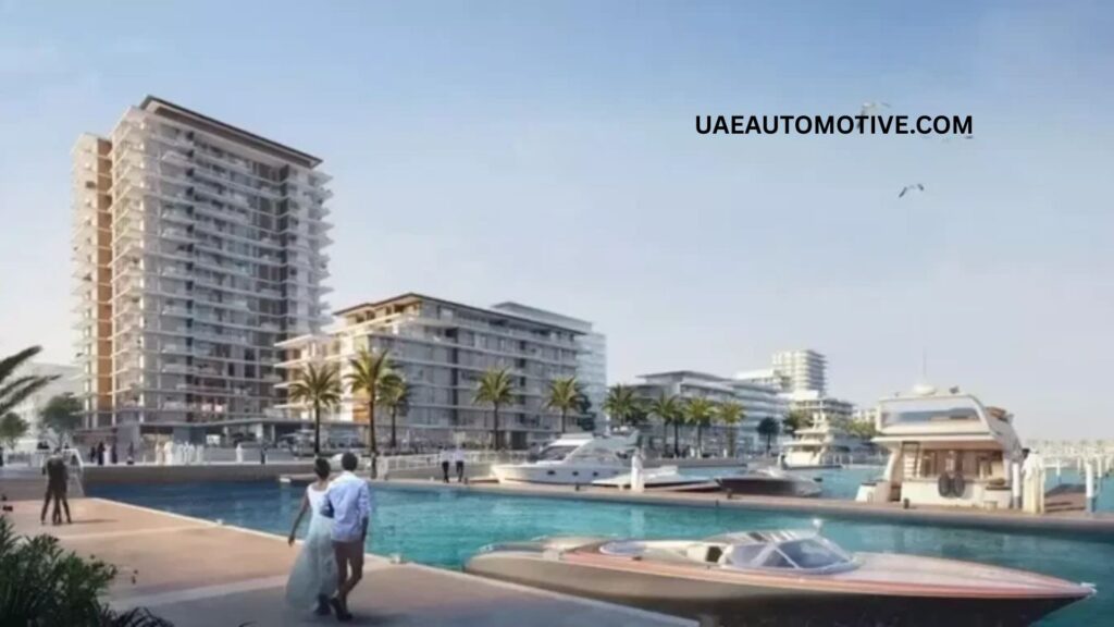 Mina Rashid Screening Centre: All About Health and Safety Services