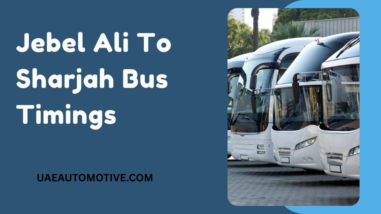 Jebel Ali to Sharjah Bus(E308 Bus): Convenience at Its Finest
