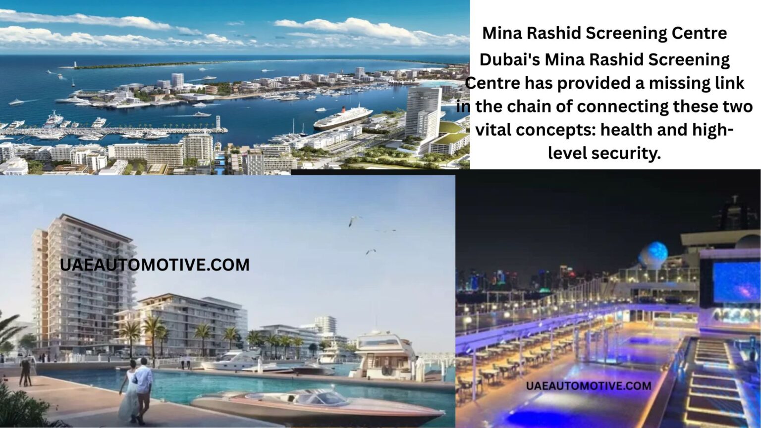 Mina Rashid Screening Centre: All About Health and Safety Services