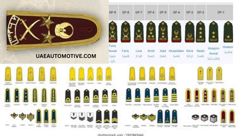 UAE Police Ranks: Understanding Structure, Roles, and Responsibilities