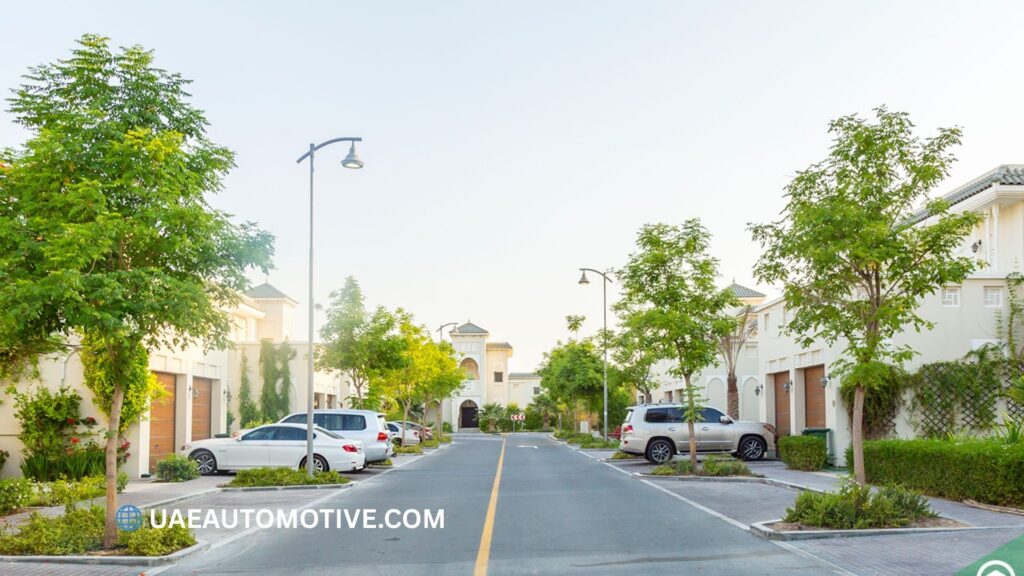 Unveiling Nad Al Hammar: A Comprehensive Guide to Dubai’s Best-Kept Secret