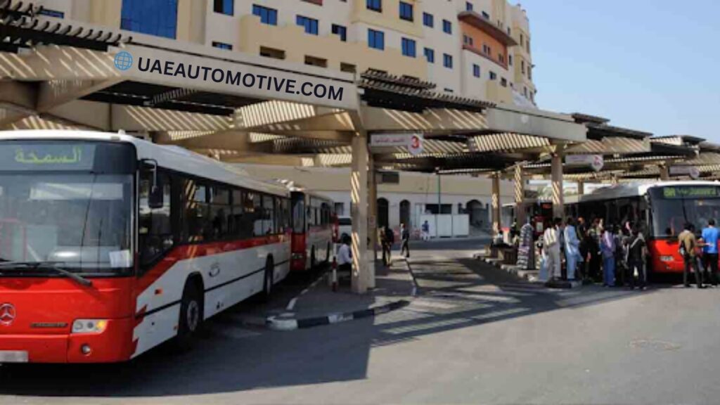 Satwa Bus Station: Location, Timings, Routes and All