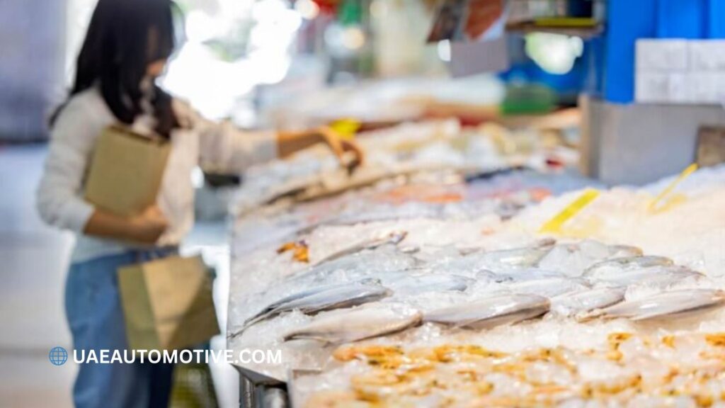 Ajman Fish Market: A Complete Guide to Dubai's Hidden Seafood Gem