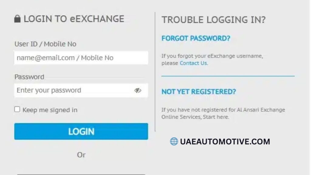 Al Ansari Balance Check: A Comprehensive Guide to Getting Your Finances in Order