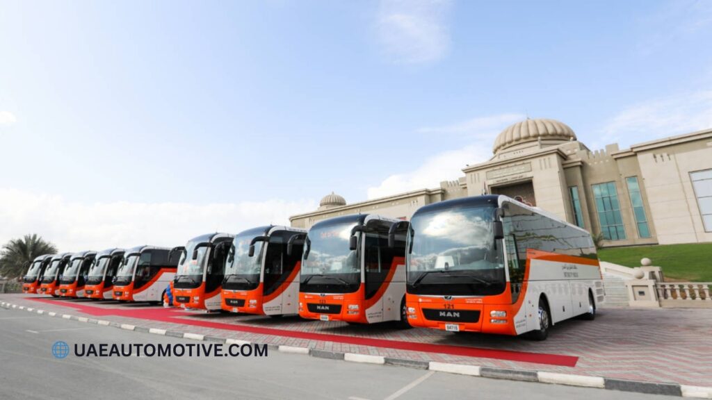 Rolla Square Park Bus Stop: Location, Accessibility, and Key Information